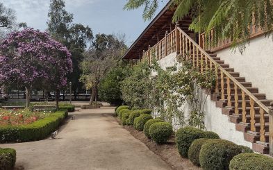 Taller de Jardinería